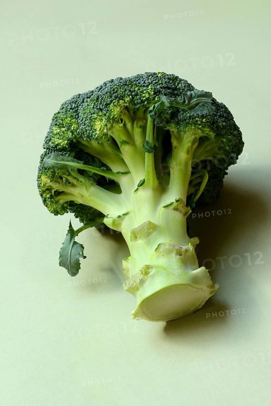 Broccoli on green background, broccoli