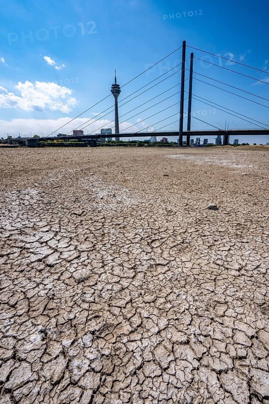 Dry riverbed, brittle floes, extreme low water, Rhine level at 41 cm, downward trend, freighters must sail with reduced load, after the long drought, the left bank of the Rhine falls dry near Düsseldorf Oberkassel, Rheinkniebrücke, Rheinturm, North Rhine-Westphalia, Germany