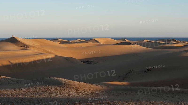 Sunny evening light casts shadows on a vast dune landscape in front of the sea, dunes of Maspalomas, Gran Canaria, Spain
