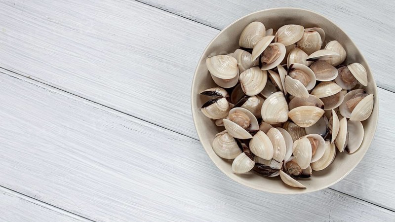 Freshly frozen vongole clams, on a light plate, top view, no people