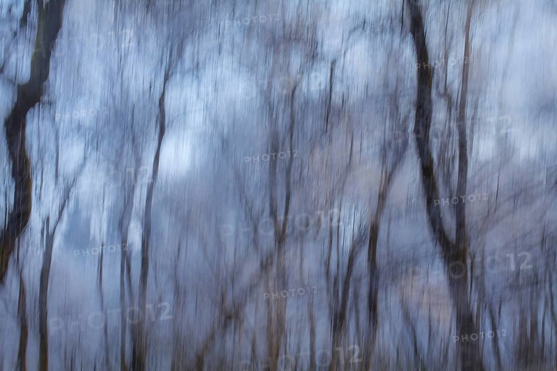 Abstract icy trees, wiping effect