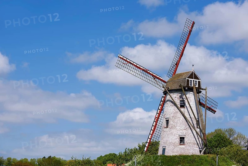 Schellemolen windmill, Damme, West Flanders, Flanders, Belgium