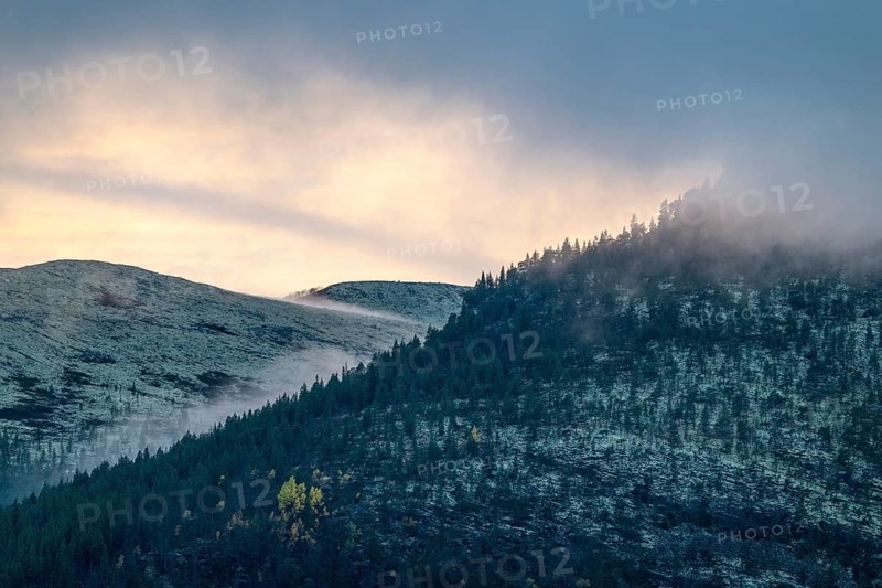 Evening fog in the mountains, Alvdal Vestfjell, Hedmark, Innlandet, Norway, October 2025