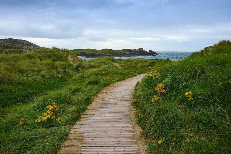 A narrow wooden walkway leads through green dune landscape with a view of the sea under a cloudy scene, Clachtoll, Lairg, Scotland, United Kingdom, Great Britain