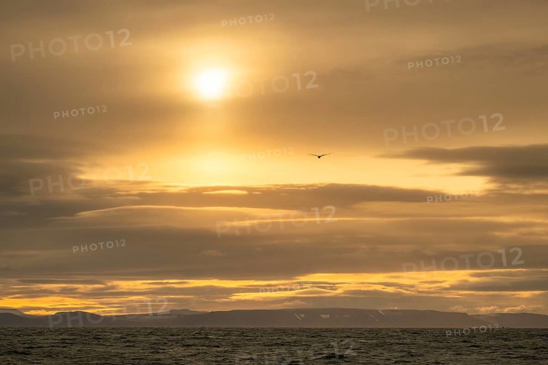 Snow, sun, sea at Boltodden, Spitsbergen, Svalbard, Norway