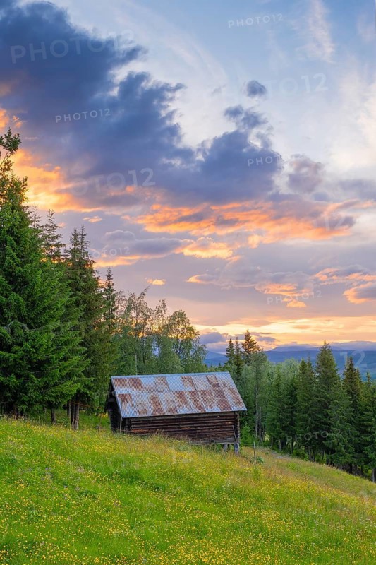 View across a meadow to a hut in the mountains at sunset, Gol, Halligdal, Buskerud, Norway