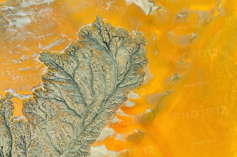 A stunning abstract fractal mud texture, showcasing detailed patterns in vibrant earthy colors. The intricate design is perfect for backgrounds and creative art projects
