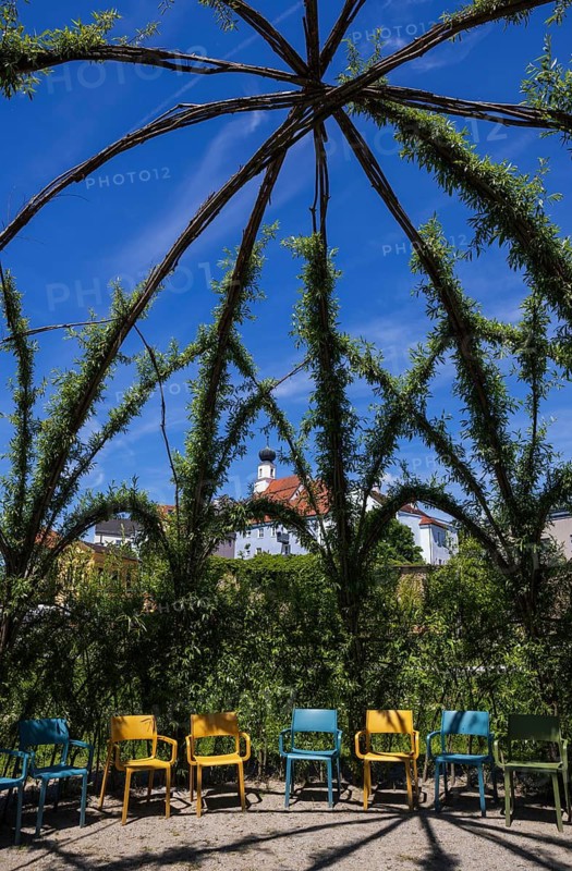 Weidendom in the spa gardens, Schärding, Innviertel, Upper Austria, Austria