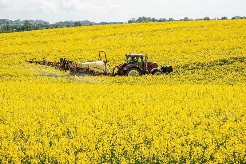 Rapeseed field in full bloom, farmer sprays the field with a tractor and trailer sprayer, plant protection products are sprayed against pests during rape bloom n Ystad municipality, Skåne county, Sweden, Scandinavia