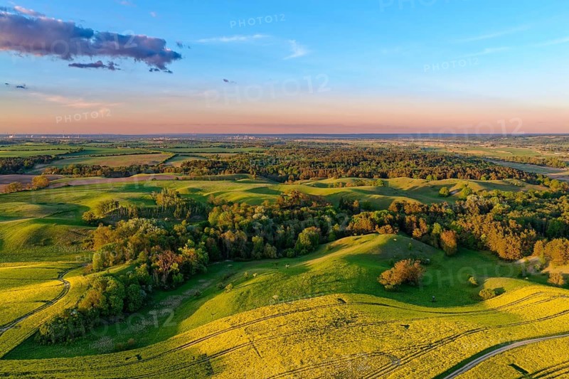 Spring landscape with blooming rapeseed fields in the Uckermark in the evening light. aerial view. Stützkow, Schwedt, Brandenburg, Germany