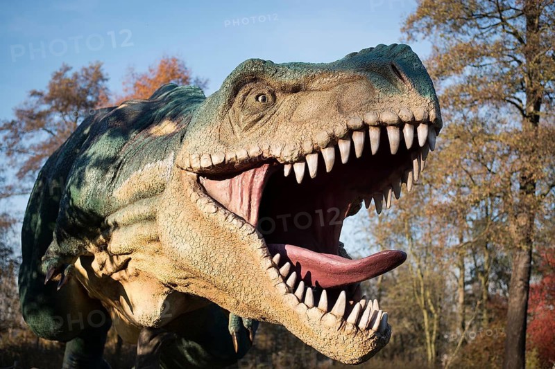 LUBIN, POLAND - NOVEMBER 03, 2015 - Realistic model of dinosaur Tyranosaurus Rex in Park Wroclawski. Park is well known tourist attraction for children in this region of Poland