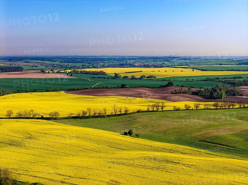Blooming rapeseed fields in spring in the Uckermark. aerial view. Stützkow, Schwedt, Brandenburg, Germany