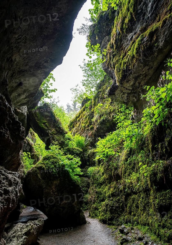 Narrow gorge overgrown with moss, Devil's Cave Pottenstein, Franconian Switzerland, Franconia, Bavaria, Germany