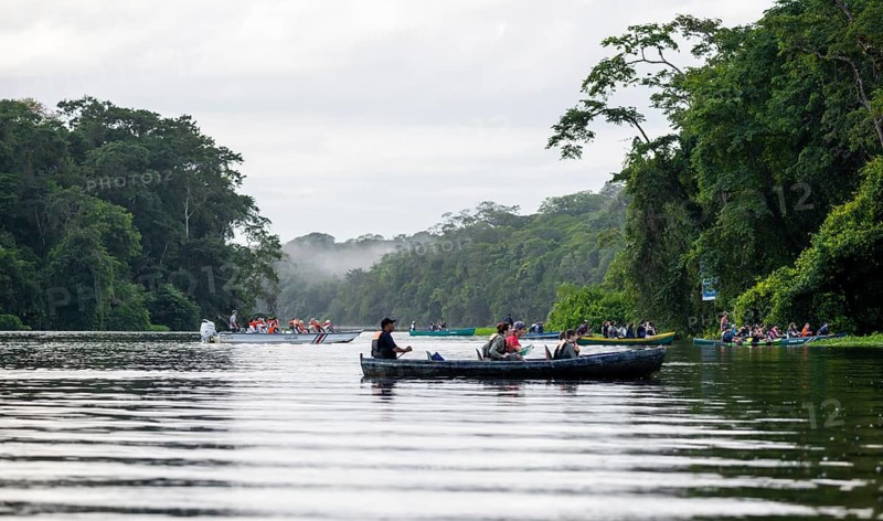 Tourists explore the river in the rainforest by boat, dense vegetation, Tortuguero National Park, Costa Rica
