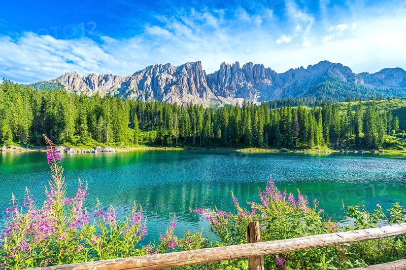 Turquoise water of karersee lake reflecting latemar mountain range and surrounded by fir forest in the dolomites on a sunny summer day