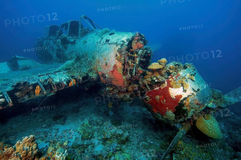 Underwater photo of wreck in WW II sunken Japanese seaplane Aichi E13A1-1, Jake Seaplane, Jake reconnaissance seaplane, Pacific, Republic of Palau, Micronesia, Australia, Oceania