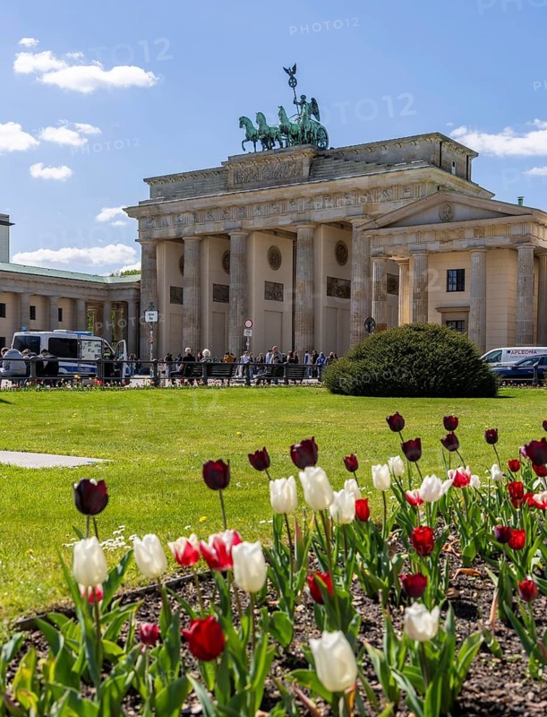 Landmark and tourist attraction, Brandenburg Gate with tulip blossom on Pariser Platz, Berlin, Germany