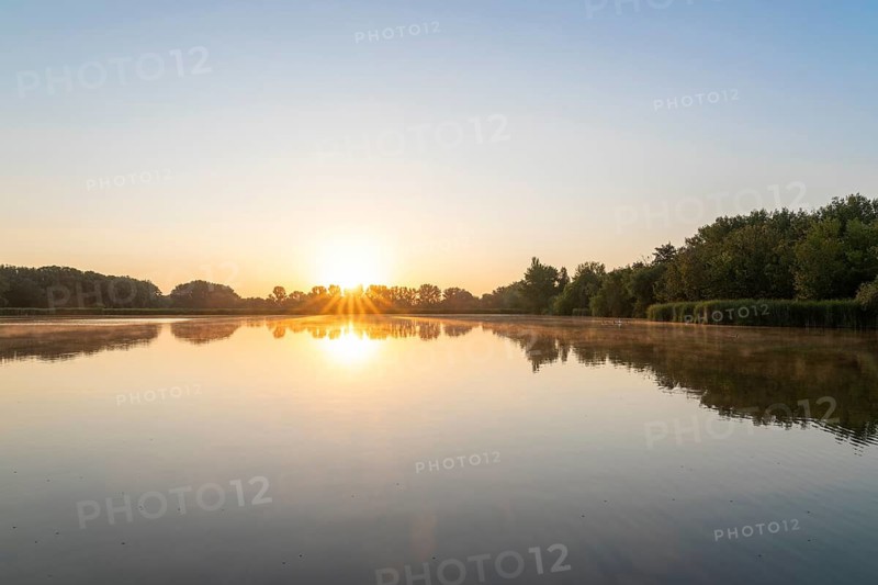 Sunrise at a pond, trees, sun star, Thuringia, Germany