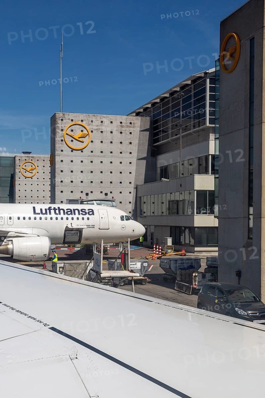 Lufthansa Airbus at the terminal, emphasised by modern architecture and clear sky at Frankfurt Airport, Frankfurt am Main, Germany