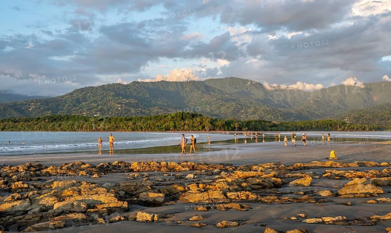 Sandy beach beach with palm trees by the sea, with reflection, Punta Uvita, Tropical rainforest, wooded hills, Pacific coast, Parque Nacional Marino Ballena, Puntarenas province, Costa Rica