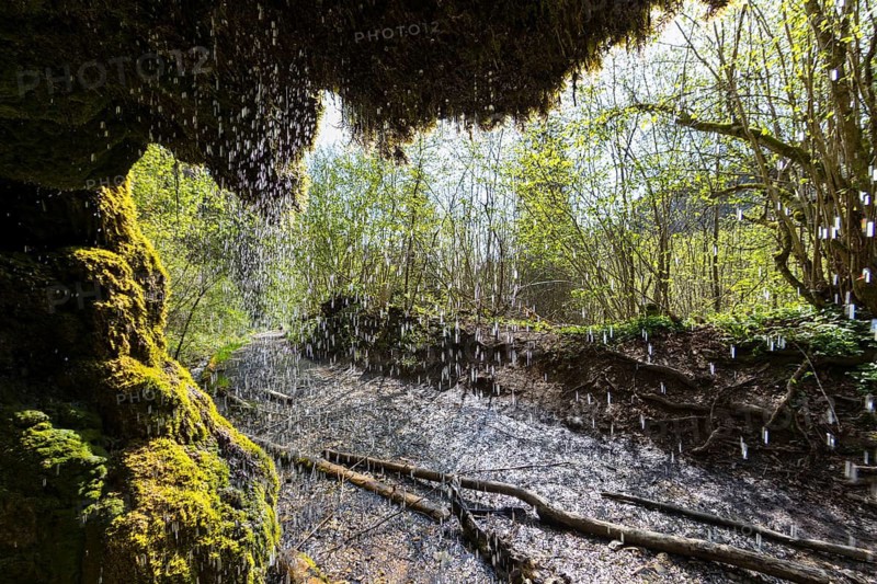 Dietfurt Waterfall, a moss waterfall in the Wutach Gorge, Black Forest, Baden-Württemberg, Germany