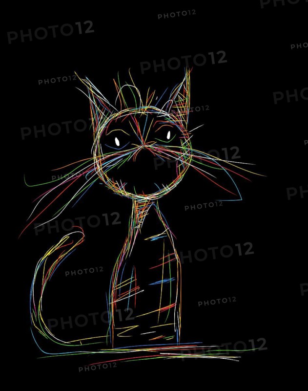 Free hand vector drawing of a cat in colors over black background