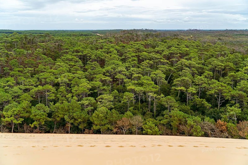 Overlooking the Grande Dune du Pilat, this image captures the contrast between the vast sandy dune and the dense green forest under a cloudy sky in France