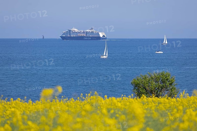 Color Line ferry, sailboats, rapeseed field, tree, Baltic Sea, Altbülk, beaches, Schleswig-Holstein, Germany