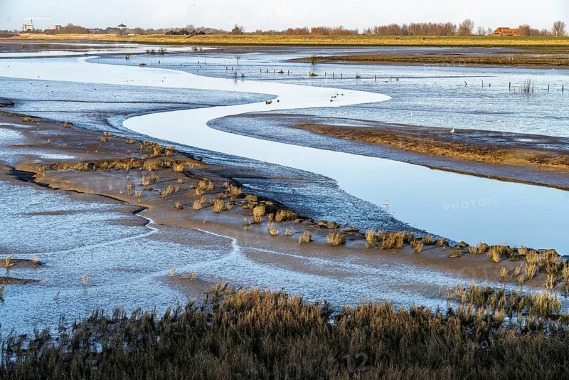 Het Zwin Nature Reserve on the North Sea between Belgium and the Netherlands