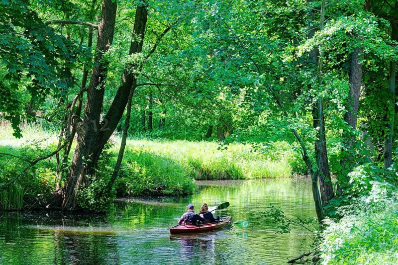 Tourists in a canoe on one of the branches of the Spree in the Spreewald, UNESCO Spreewald Biosphere Reserve. Lübbenau, Oberspreewald-Lausitz, Brandenburg, Germany
