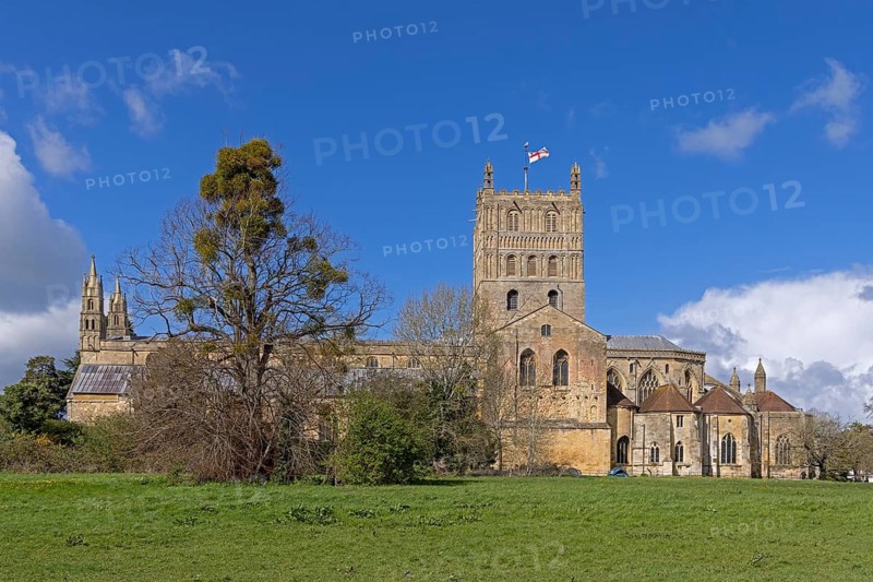 Former abbey church, flag, tree, mistletoe, Tewkesbury, Gloucestershire, England, Great Britain