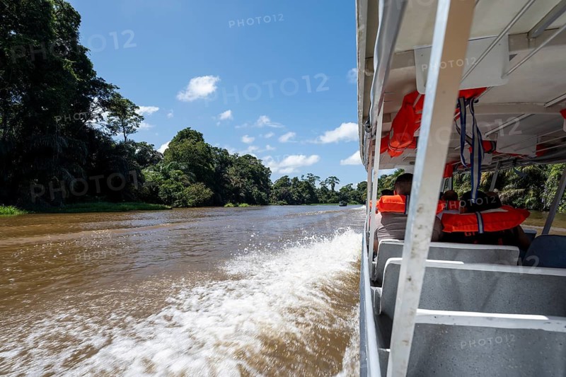 Tourists on a boat, Rio Suerte river in the rainforest, dense vegetation, Tortuguero National Park, Costa Rica