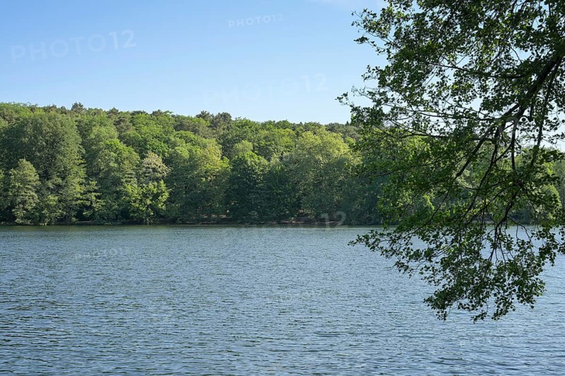 Schlachtensee, Zehlendorf, Steglitz-Zehlendorf, Berlin, Germany