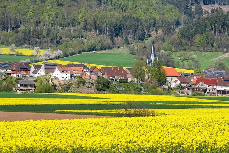 View of Bodenfelde, district of Northeim, Lower Saxony, Germany, Europe