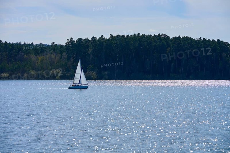 A sailboat on a quiet, sparkling lake, surrounded by the edge of a forest, Ramsberg, Großer Brombachsee, Franconian Lake District, Weissenburg-Gunzenhausen District, Middle Franconia, Bavaria, Germany