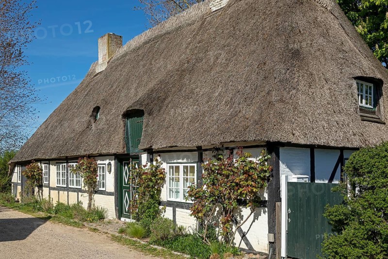 Thatched roof house, Sieseby, Schlei, Schleswig-Holstein, Germany