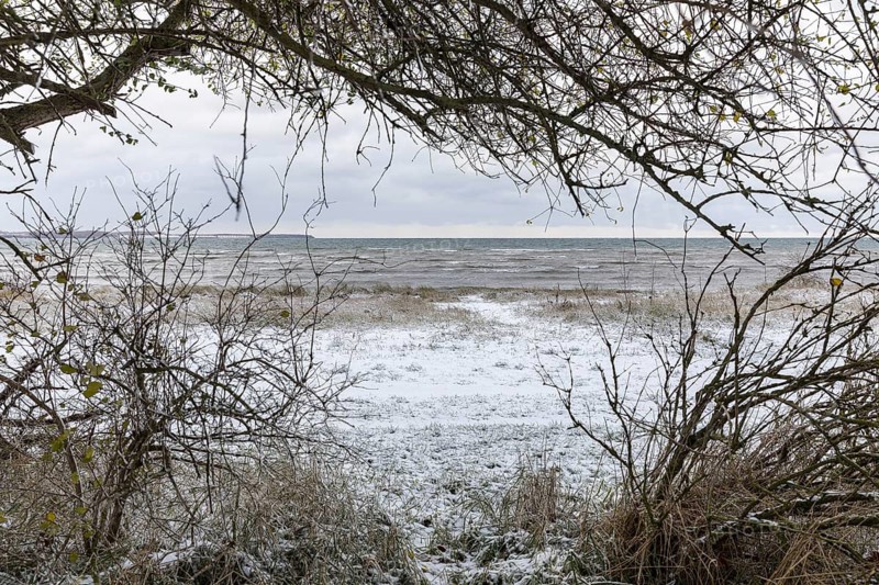 Winter on the Baltic Sea, snow in Wohlenberger Wieck, Bay of Wismar, Mecklenburg-Western Pomerania, Germany