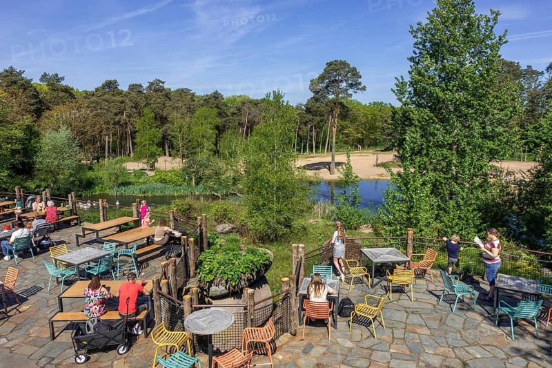 Visitors in front of animal enclosure enjoying a drink on terrace of restaurant at Burgers Zoo, zoological garden in Arnhem, Gelderland, Netherlands