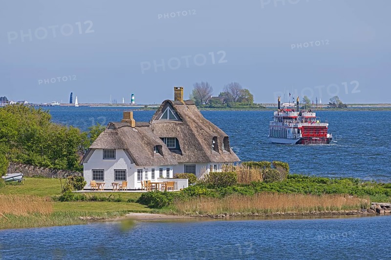 Thatched houses, Schlei Princess excursion boat, Rabelsund, Rabel, Schlei, Schleswig-Holstein, Germany