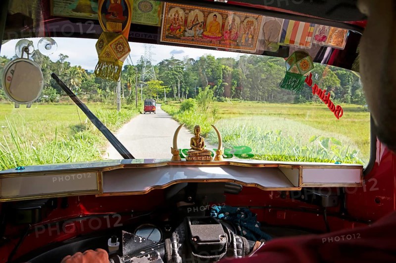 View from a tuktuk onto a tuktuk and the rice paddies, Kandy, Central Province, Sri Lanka