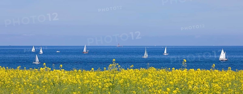 Panorama, sailboats, rapeseed field, Baltic Sea, lighthouse Kiel pilot station, Altbülk, beaches, Schleswig-Holstein, Germany