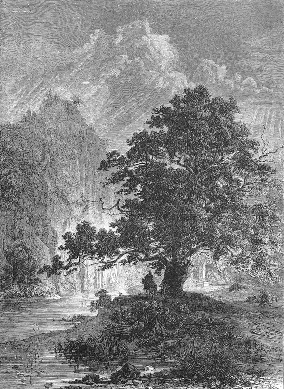 Harrassprung or Harrasfelsen and the Harras Oak in 1870, Saxony, Germany, Historical, digitally restored reproduction of a 19th century original