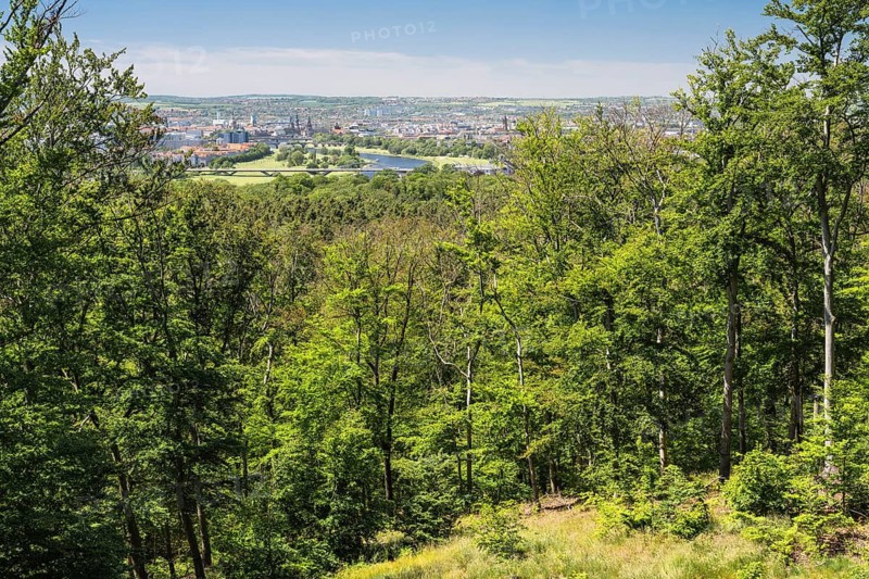 View of Dresden from Wolfshügel in the Dresden Heath, Saxony, Germany, May 2024