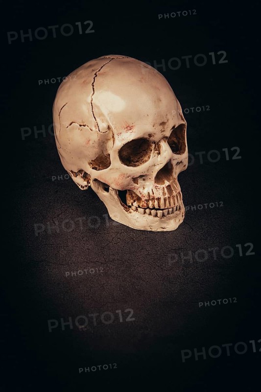 A simple skull against a dark background