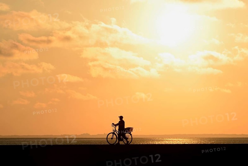 Cyclist in silhouette on a dyke in the evening light, North Sea, Norddeich, Lower Saxony, Germany