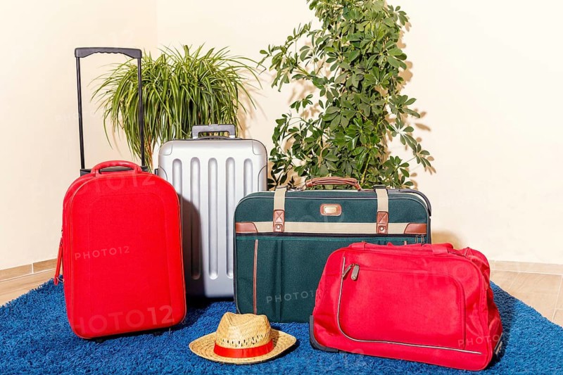 A collection of vibrant travel suitcases stands on a blue carpet, framed by green houseplants. This colorful arrangement captures the essence of travel and adventure