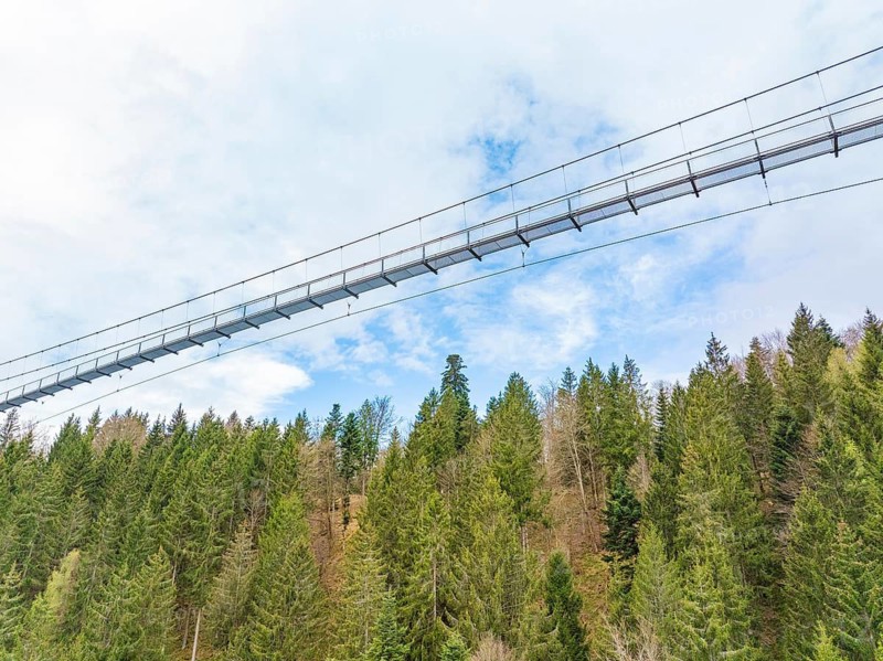 Bottom view of a suspension bridge crossing a forest, Wildline Suspension Bridge, Bad Wildbad, Black Forest, Germany