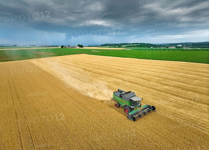 Combine harvester harvesting wheat on a field in the vertile and fruitful of Langes Feld north of Stuttgart, Baden-Württmberg, Germany