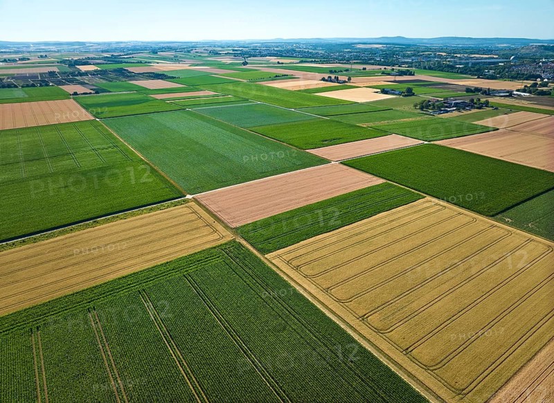 Aerial view of geometric grain and corn fields forming a colorful agricultural landscape with fertile farmland and rural patterns in summer. Langes Feld, north of Stuttgart, Baden-Württemberg, Germany
