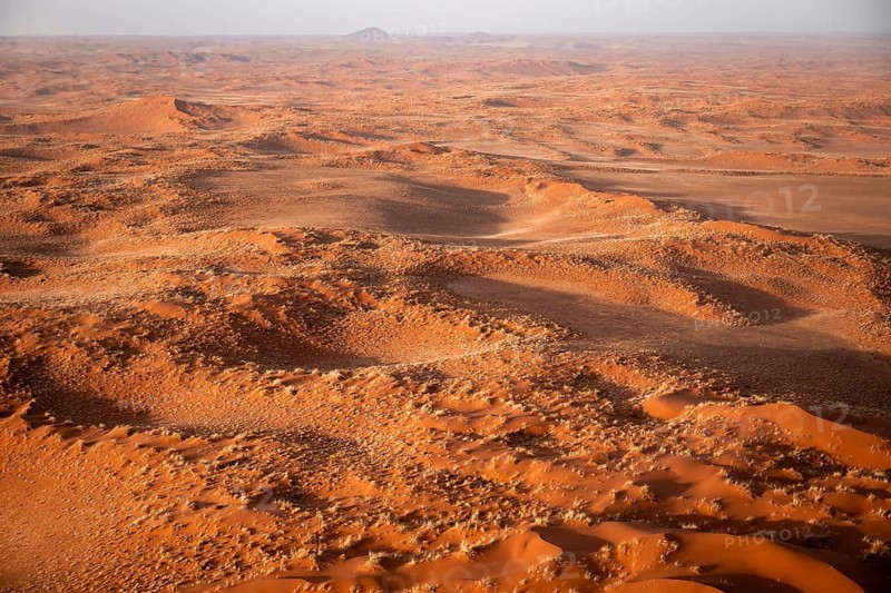 Aerial view, sand dunes with vegetation in the Namib Desert, Namib Naukluft Park, Namibia